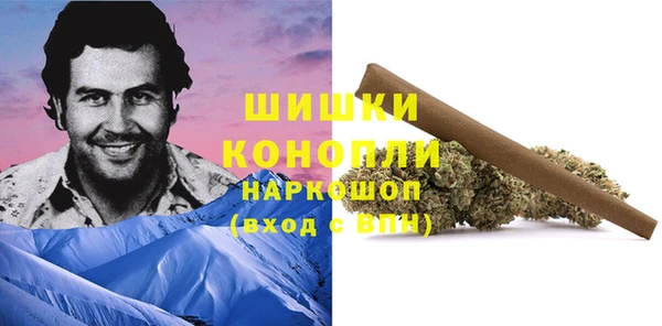 индика Новокубанск