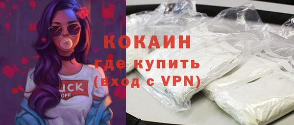 индика Новокубанск