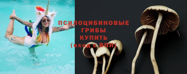 МДМА Новозыбков