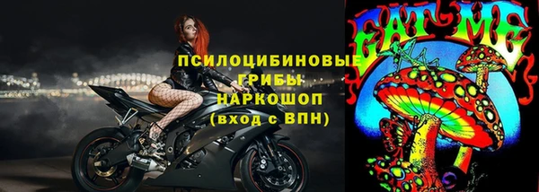 индика Новокубанск