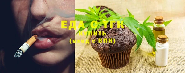 индика Новокубанск