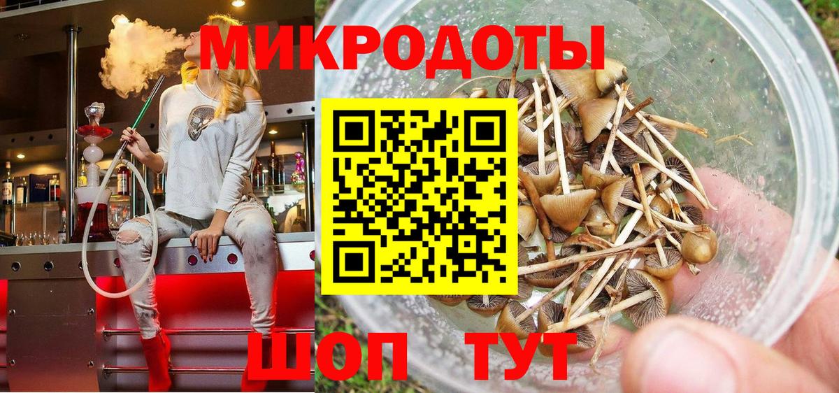 Новоалтайск  Псилоцибиновые грибы GOLDEN TEACHER  Галлюциногенные грибы GOLDEN TEACHER  Вход с VPN 