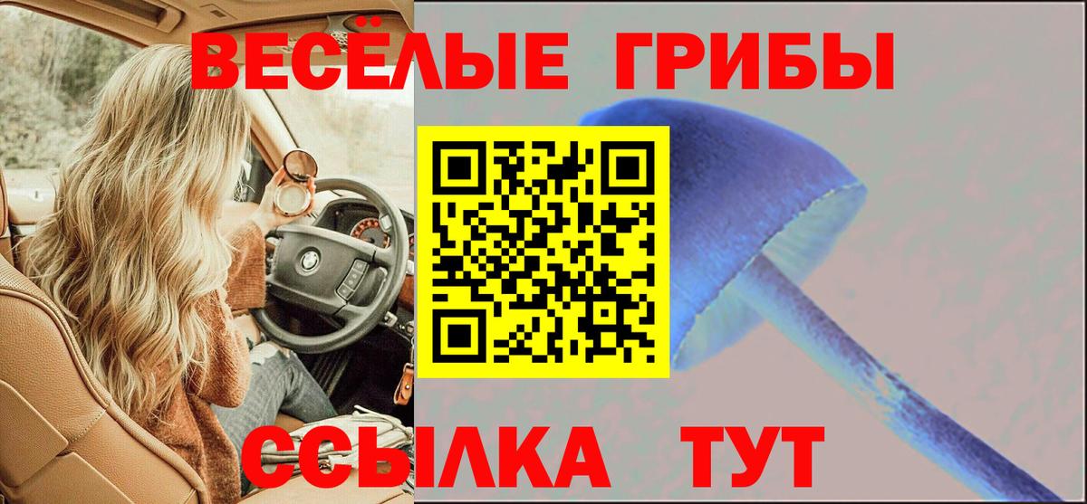 Псилоцибиновые грибы мицелий  Псилоцибиновые грибы Cubensis  купить наркотик  Новоалтайск 