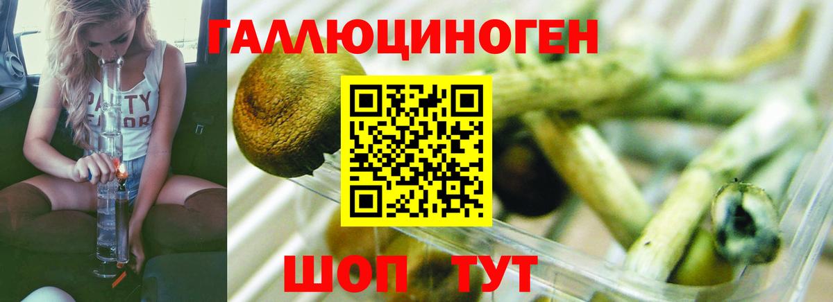 Галлюциногенные грибы мухоморы Новоалтайск