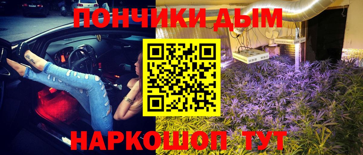 Конопля план Новоалтайск